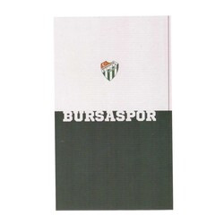 BURSASTORE - Sticker Bursaspor Logo (9,5x16)