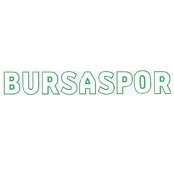 BURSASTORE - Sticker Bursaspor Yazı Beyaz Yeşil (2,5x18)