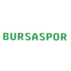 BURSASTORE - Sticker Bursaspor Yazı Yeşil Beyaz (2,5x18)