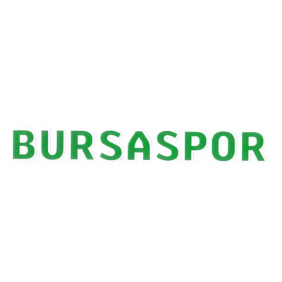 Sticker Bursaspor Yazı Yeşil Beyaz (2,5x18)